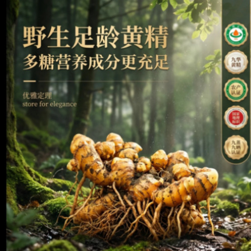 AIGC 多场景案例展示与设计集合